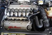 Alfa Romeo Spider - CLASSICO 3.0 24V V6