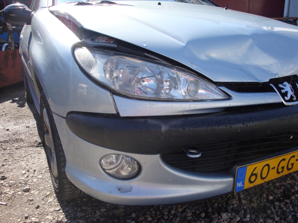 Afbeelding 10 van Peugeot 206 2.0-16V GTI