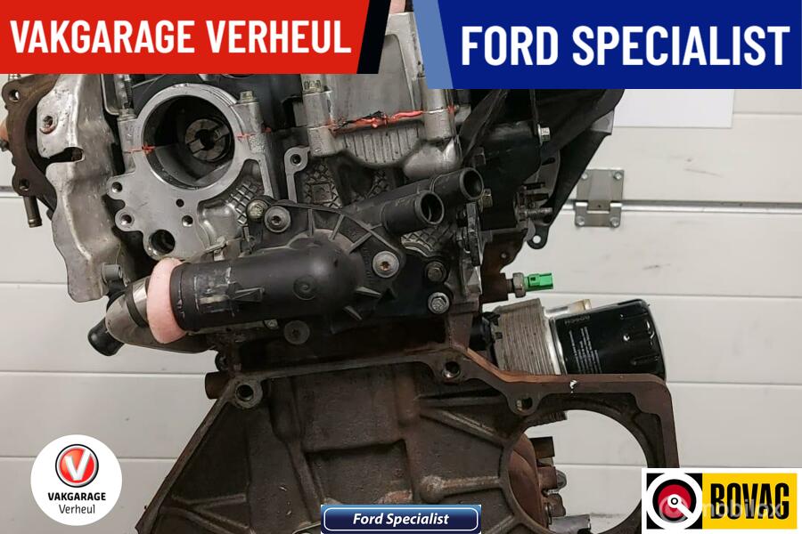 Ford Ecoboost 1.0 Benzine|motors gereviseerd|incl. garantie