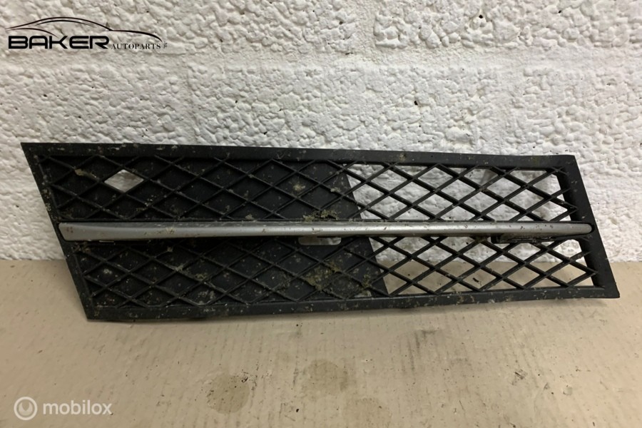 Bumpergrille BMW 5-serie F10 ('10-'17) 5111720070009