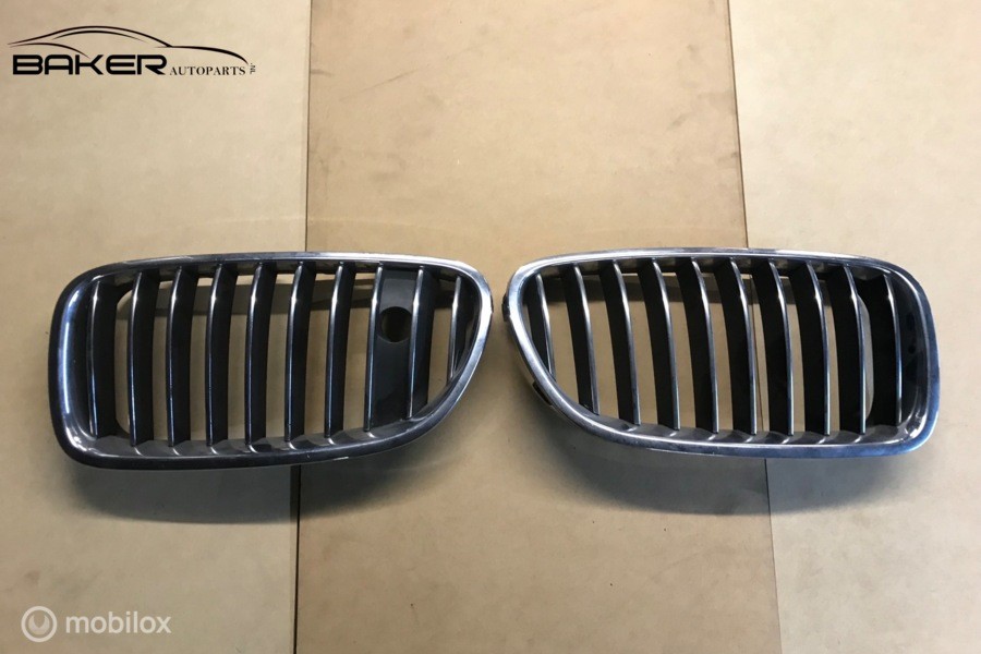 Bumpergrille voor BMW 550i 5-serie F10 ('10-'17) 51137203203