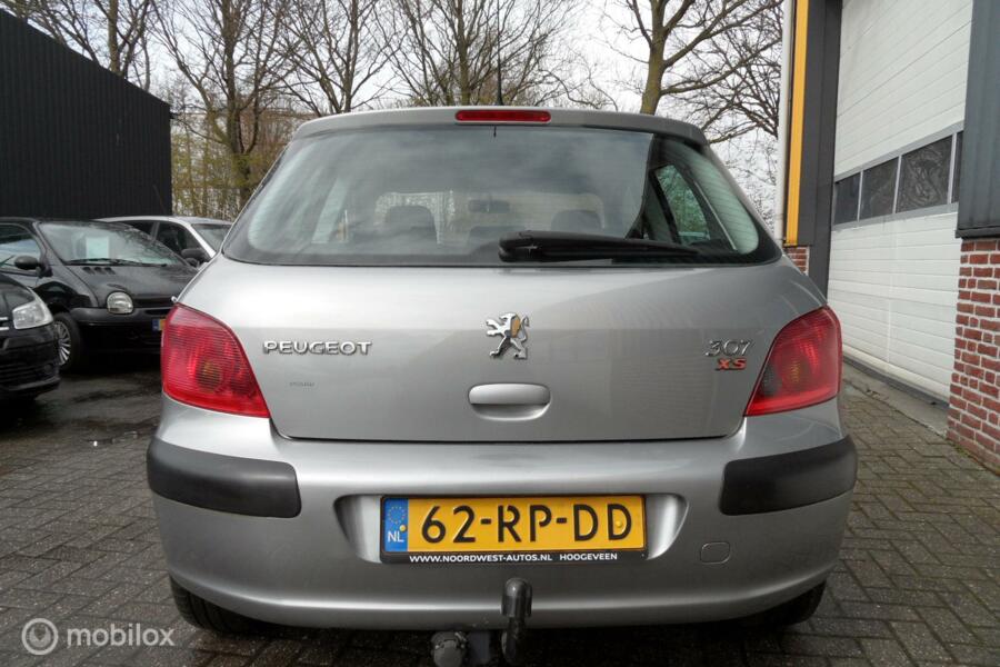 Peugeot 307 1.6-16V XS  NETTE AUTO!
