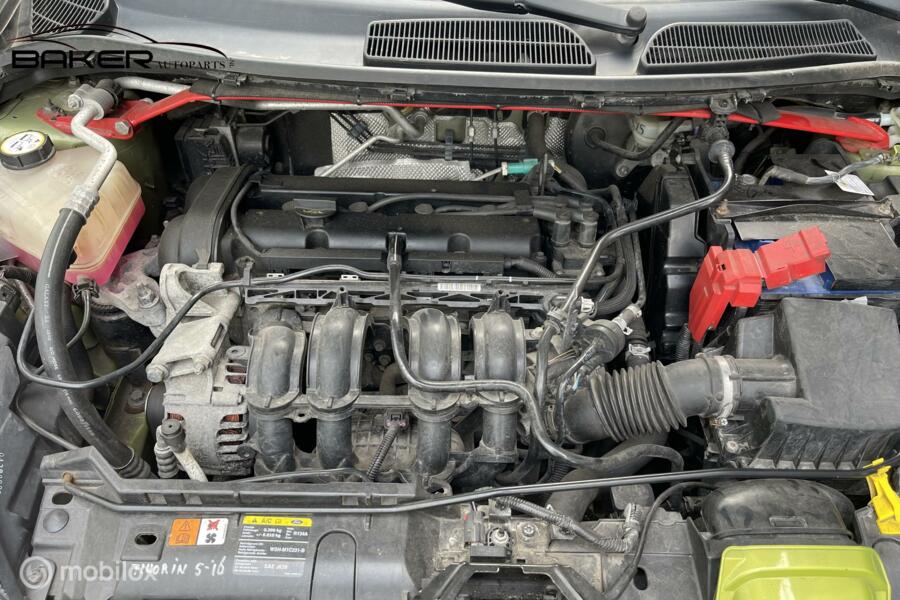 Motorblok SNJA Ford Fiesta VI 1.25 Ghia ('08-'17)