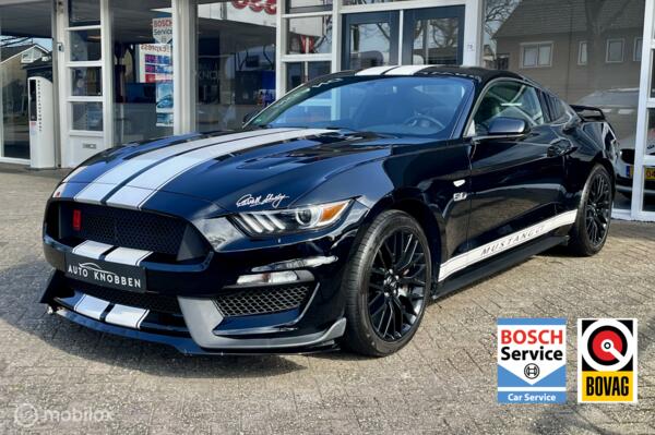 Ford Mustang  5.0 GT Shelby Roush!