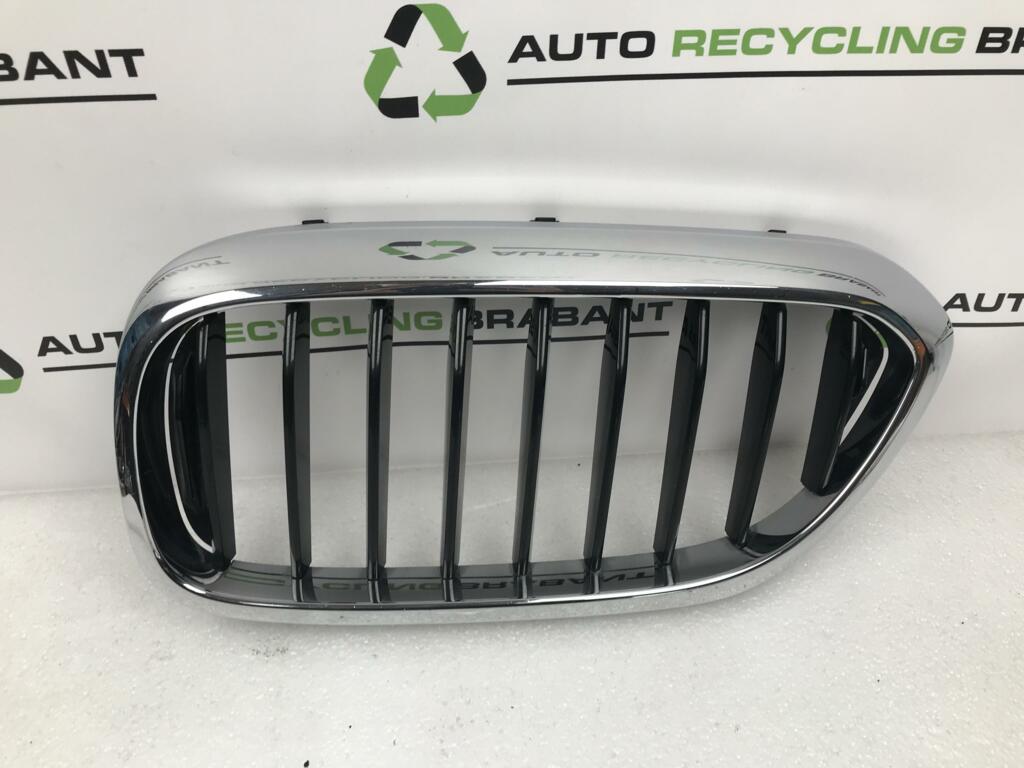 Grill Links BMW 5-serie 7473691